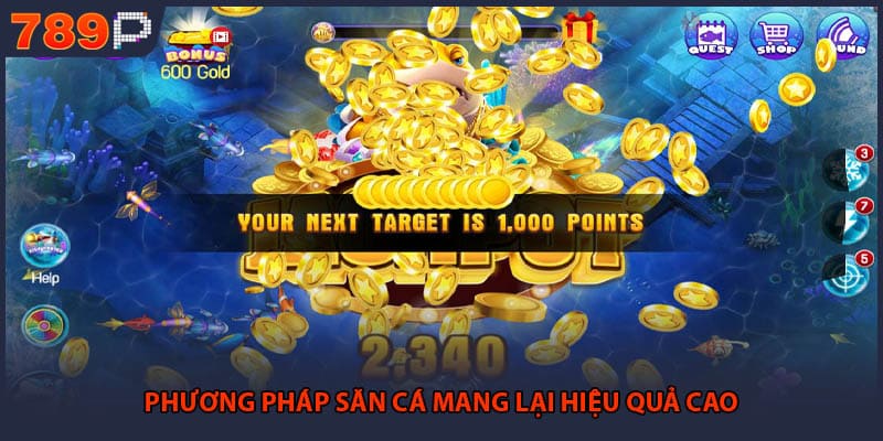 Phương pháp săn cá mang lại hiệu quả cao